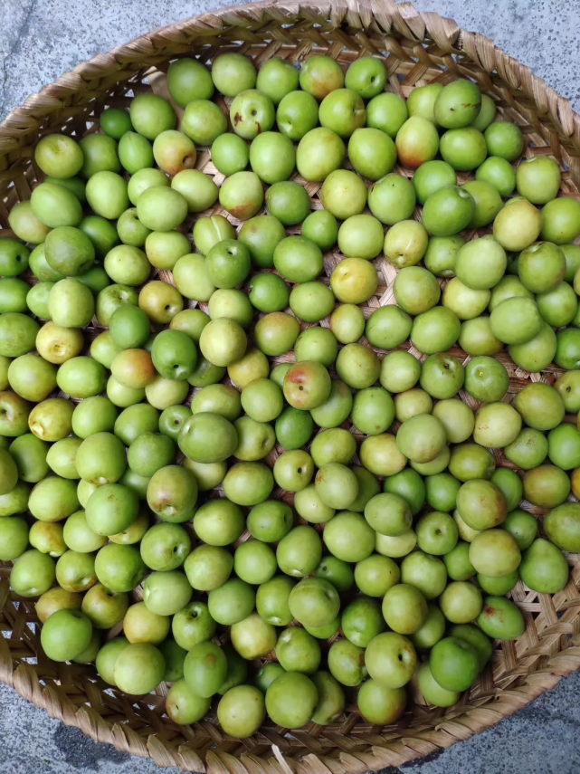 潮汕青梅上市!这么多种食法,收藏起来在家就能做!
