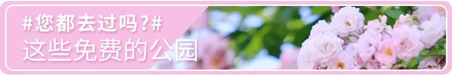 北京|北京最美的几条自驾路线，趁着周末走一走！