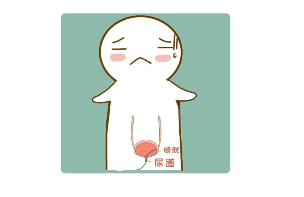 麻醉插管知多少