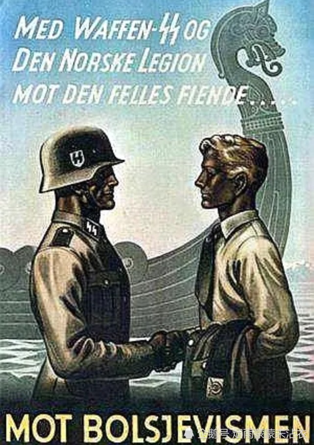纳粹维京师图片