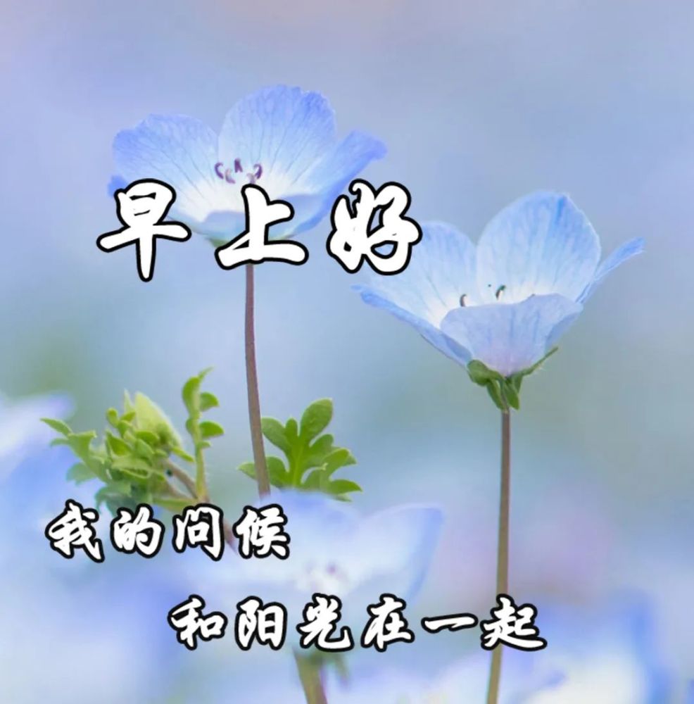 9月3清晨早安祝福語,漂亮的唯美圖片動態表情