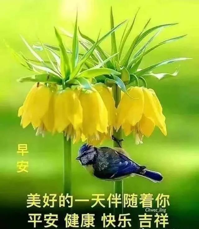 2020朋友圈最新早上好温馨祝福语精选,微信早安最美的祝福问候图片