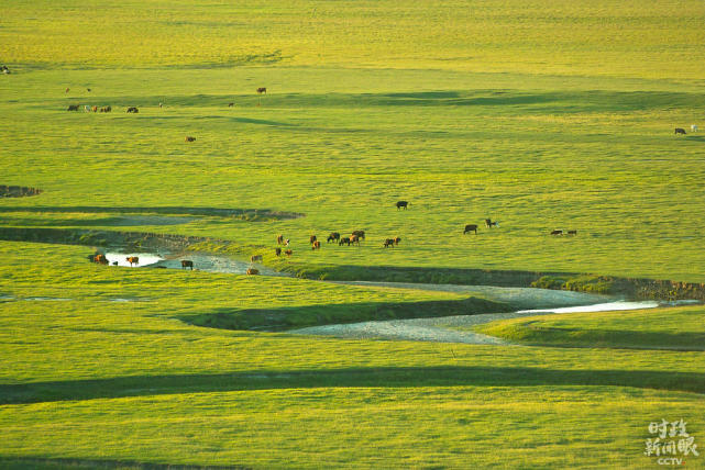 △锡林郭勒草原是我国保存较为完好、生物多样性丰富的温带草原，也是我国北方重要的生态安全屏障。盛夏时节，风光旖旎。
