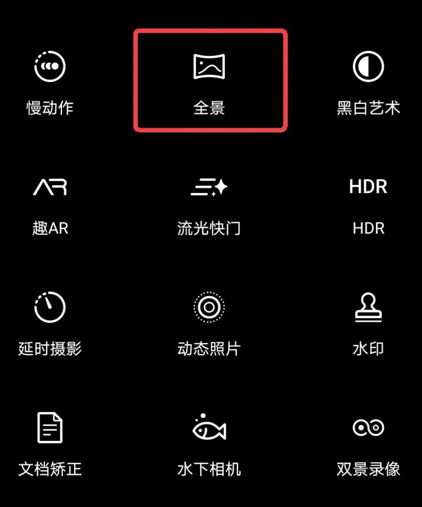 全景模式下的动物照 很喜感 笑出声 腾讯新闻
