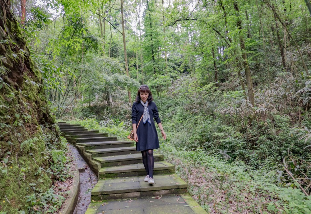 丰富,上里古镇,后盐景区, 望鱼古镇 ,碧峰峡,天全喇叭河,泸定,康定等