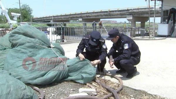 張逸男這個網眼是很小的,可以說只能是頭髮絲才能進得去,像鰻魚苗