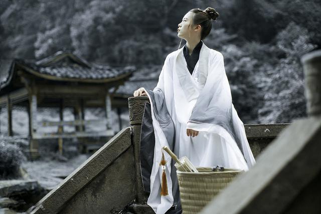 咏蝉|吵闹的知了，却是诗人的寄托，唐代“咏蝉”诗三绝，你最爱哪首