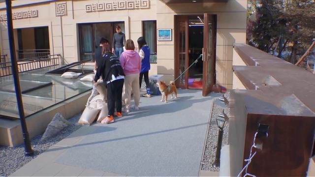 郑爽搬新家,3层别墅还有沙滩,给姥姥买豪宅并不是最霸气的一次