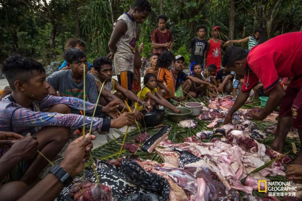 海龟|“我下辈子再也不做海龟了！”