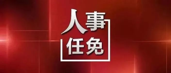 黟县人事任免图片