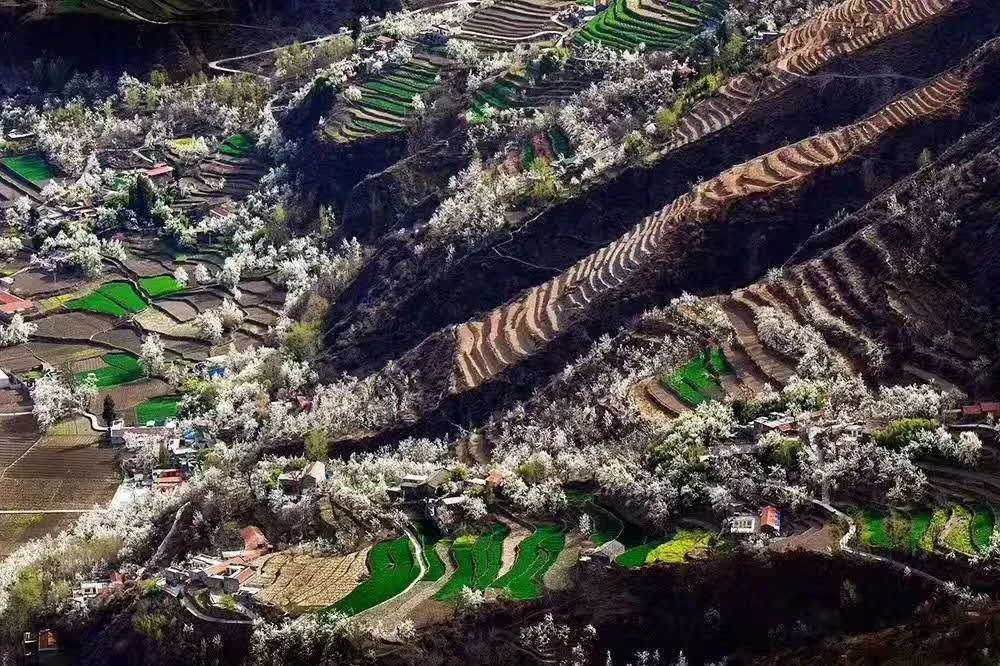金川县咯尔乡红叶谷梨花沟景区,沙耳乡神仙堡观景台,庆宁乡松坪村高点