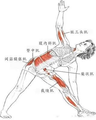 外练筋骨皮才能骨正筋柔