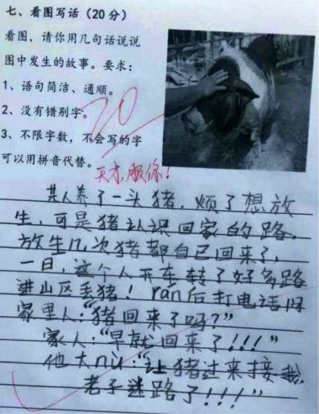 熊孩子0分作文走红网络脑洞大开却惹恼老师网友气得不轻