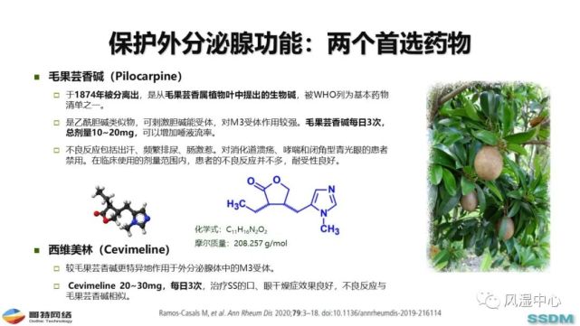 【手牵手健康】保护干燥综合征患者的外分泌腺功能