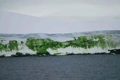 北极地区|北极附近森林大火肆虐！38度高温比热带还热！