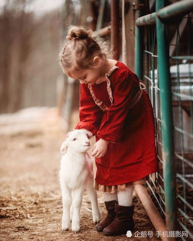 图为小女孩与小羊羔的合影,画面是不是像极了相隔亲密无间的小伙伴在