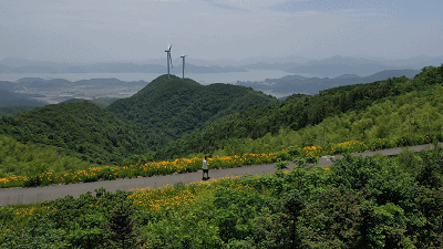 白巖山風車公路花季正當時全方位打卡攻略一鍵獲取