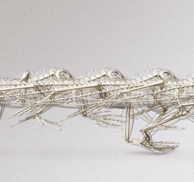 骨质疏松|这一堆堆的白骨，居然活了