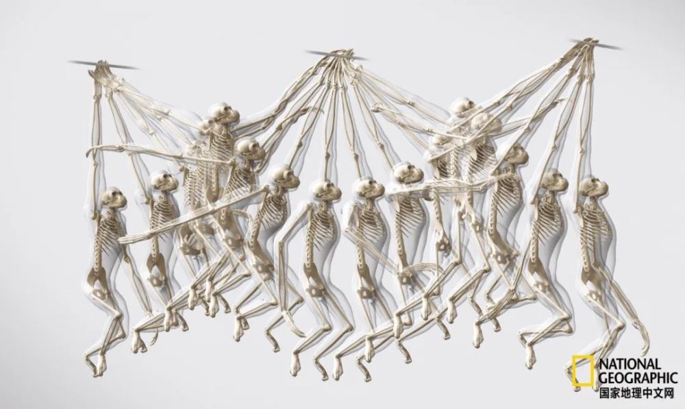 卢克·天行者|这“泼猴”敏捷值满格，但躲不过濒危