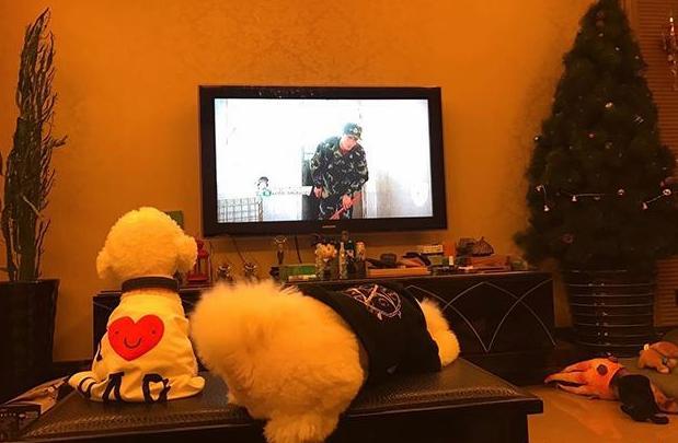 晒晒姜潮如今住的豪宅家里一屋子都是球鞋鞋盒堆得像个小山