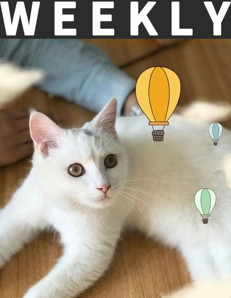 基因|亲亲抱抱是一种基因行为，只传女不传男