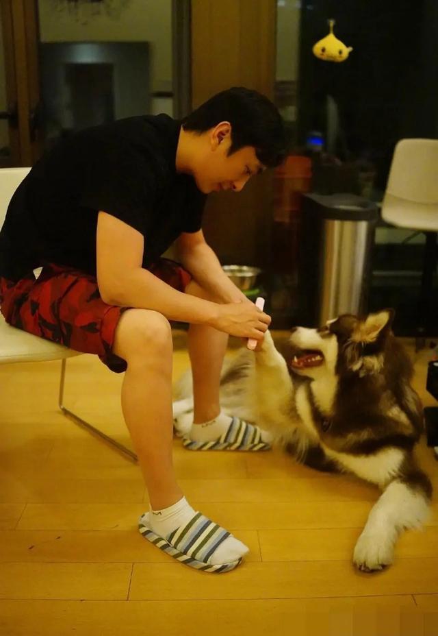 与雪梨老公发生冲突,截图保留证据,把他们全告了|王思聪|雪梨|张衍