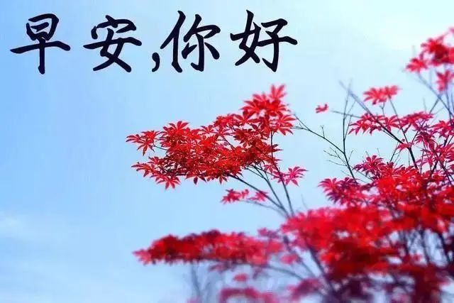 清晨早上好溫馨圖片問候祝福語早安暖心祝福短信