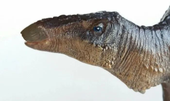 满洲龙:中国恐龙的"驻外大使"_腾讯新闻