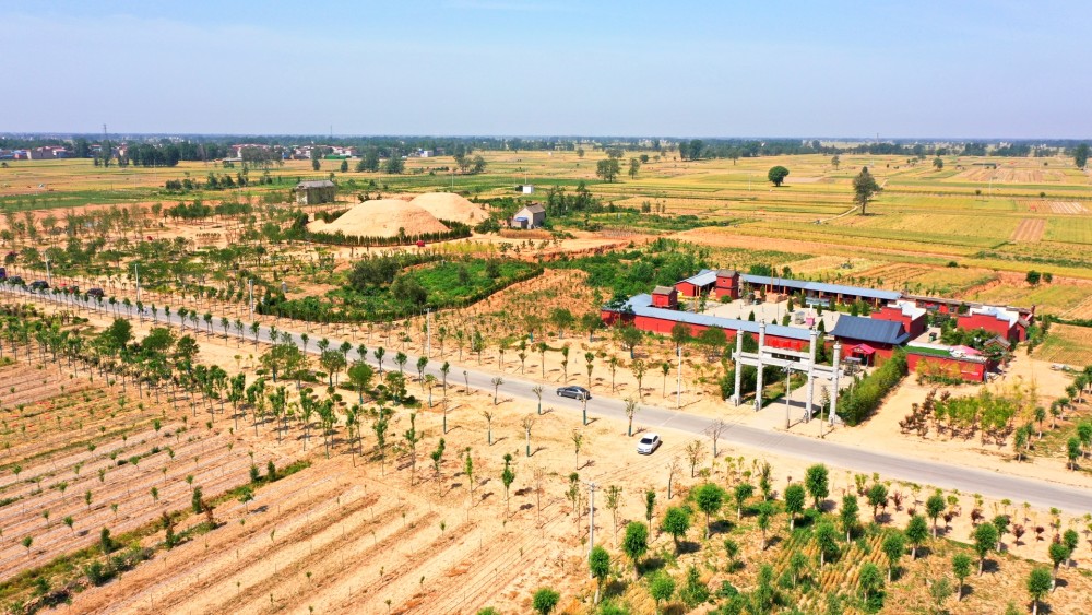 生态环境守底线千年高阳镇换新妆