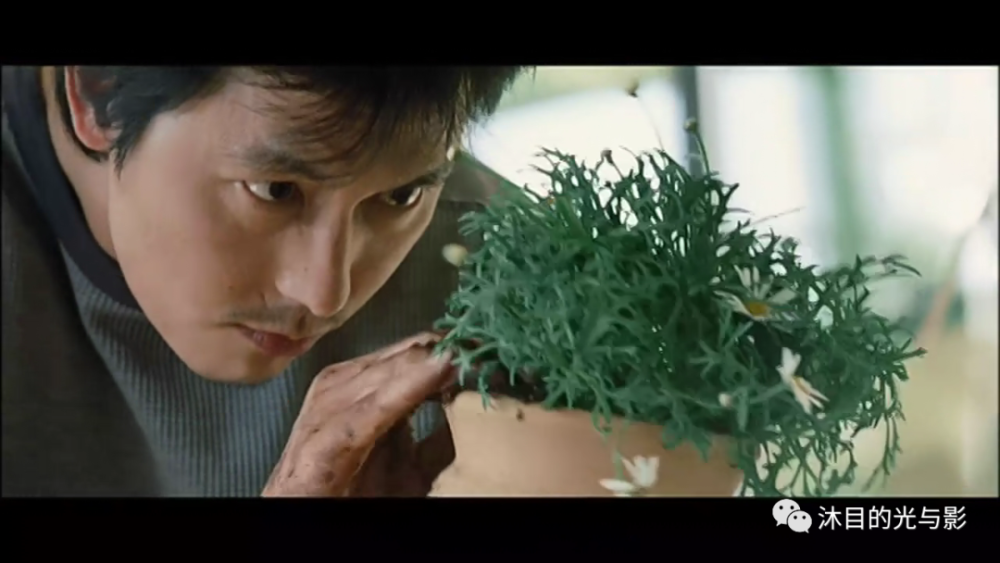 郑宇盛全智贤《雏菊》相遇是巧合与错过,爱情是谎言与遗憾_腾讯新闻