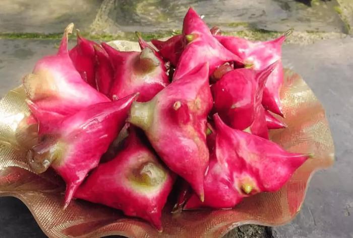 我叫红菱,生于中国,却非常后悔"偷渡"到印度!