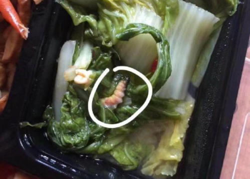 刚刚开学学校配餐竟焐出大肥虫岂料这还只是个开始