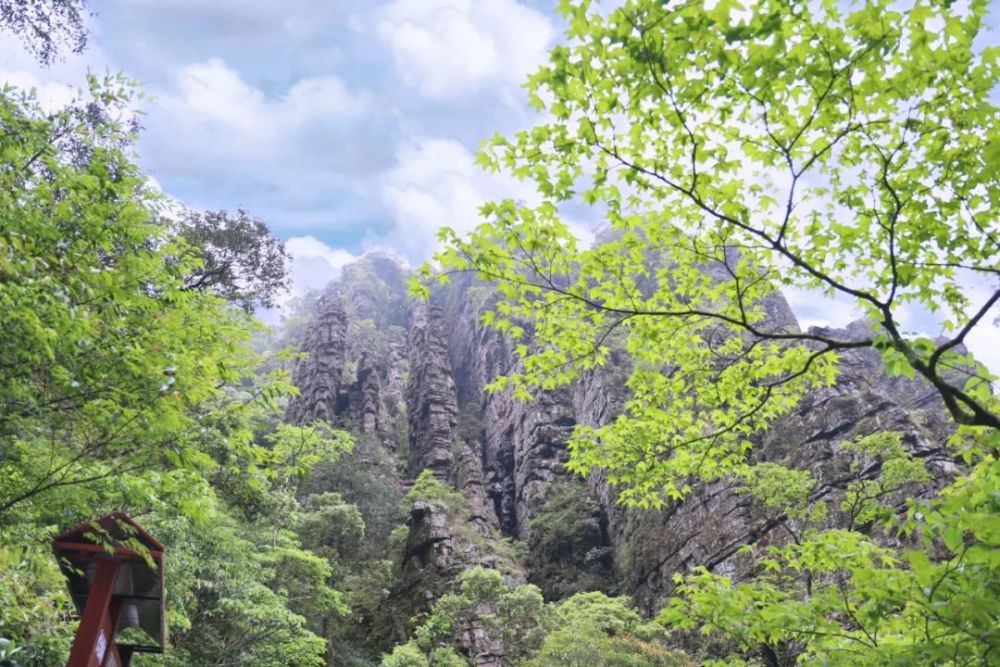 感受瑤族文化去聖堂山賞杜鵑花