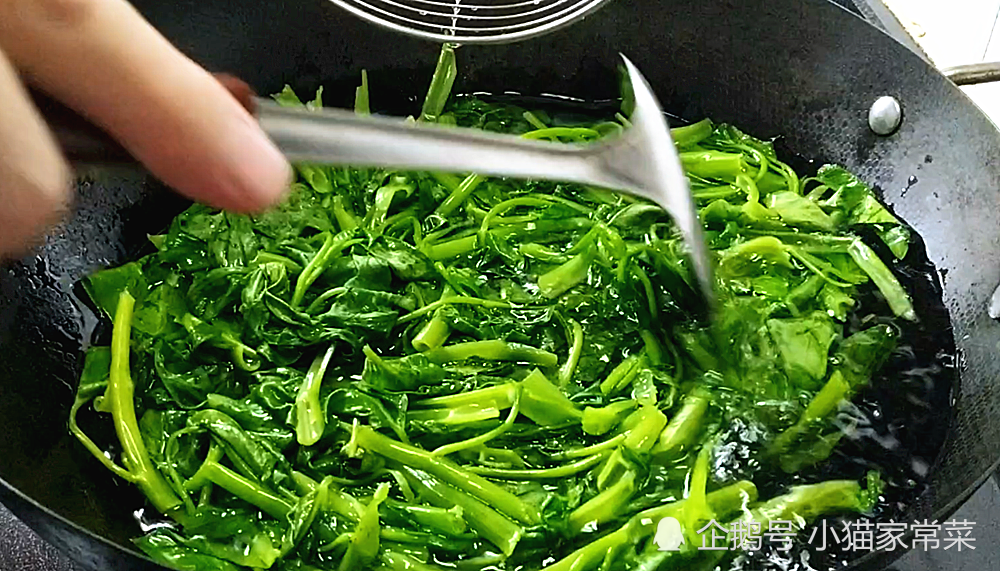 包含空心菜要不要焯水的词条
