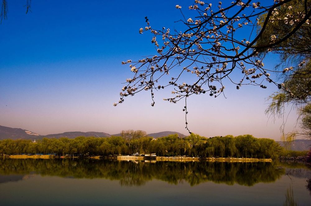 陆游|陆游一首很美的七绝，同样达到了诗中有画的意境，美得令人惊艳！