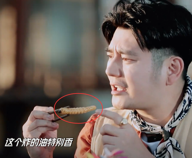 王一博钱枫到云南吃油炸大虫近镜头看清虫子有多大开眼界了