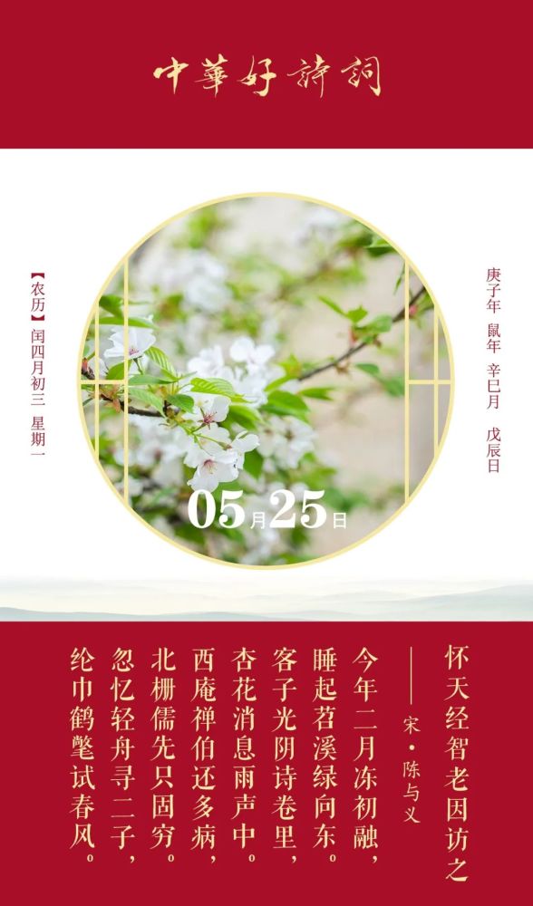 这是什么神仙友情 我羡慕了 腾讯新闻