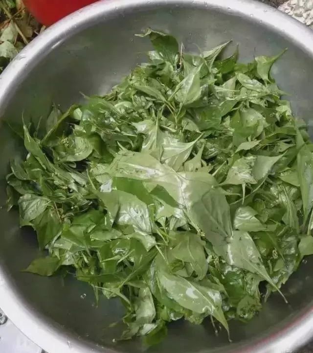 用树叶做成的神仙豆腐有多少隆回人吃过