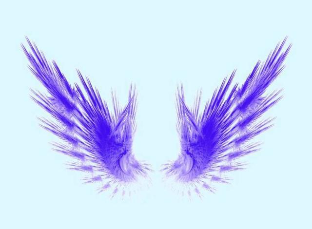 12星座独有的羽翼水瓶座的很抢眼狮子座是冰与火的碰撞