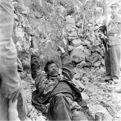 解放军老兵回忆:我看着那个越南俘虏兵,想起了家乡杀猪的情景