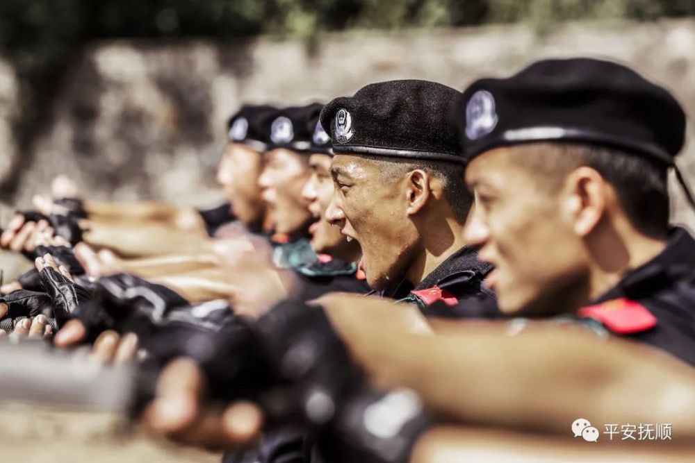 【聚焦热点】又帅又飒,猎豹突击队_腾讯新闻