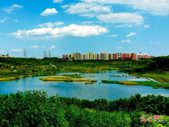 北京西郊雨洪调蓄工程湖面补水后呈现湿地美景