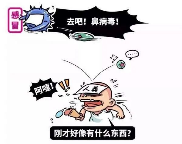 人鼻病毒感染是什么症状_感染鼻病毒的症状_鼻病毒感染会传染吗