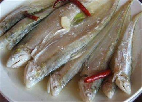 5种初夏时令鱼,个个都是顶级的鲜美|鲚鱼|肉质|刺身|豉汁|马友鱼