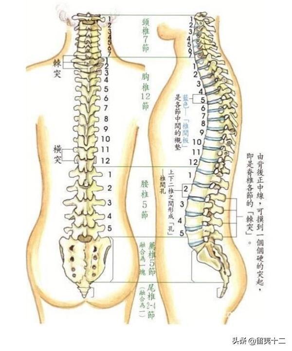 Oh My God 被99 的人忽视的姿势 竟是隐藏最深的健康杀手 腾讯新闻