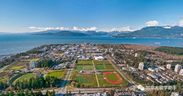 加拿大商学院解析之sauder商学院
