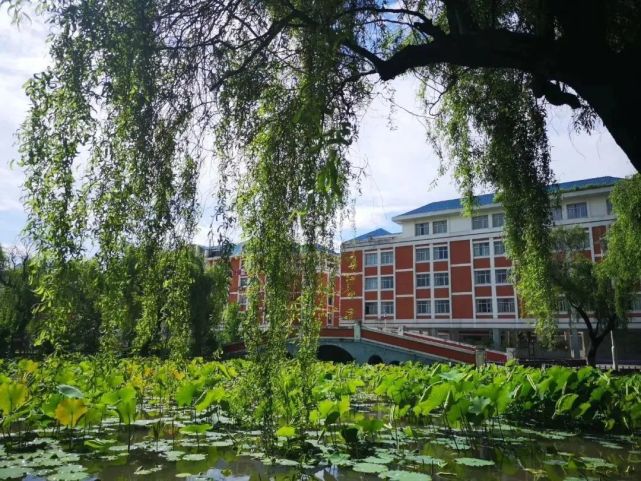 巫山中学校园美景来了