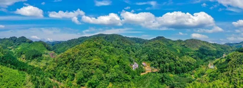 万木林|这本书出版发行，关于建瓯万木林景区的