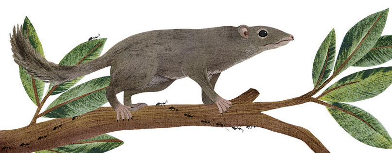 ",你该怎么回答?_腾讯新闻