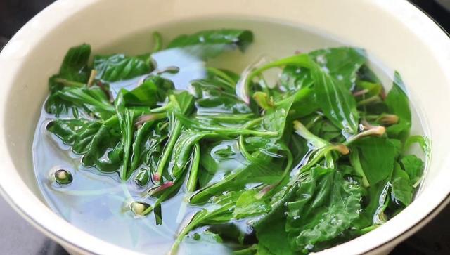 农村人常用车前草煎水喝,小慢把它做成了一道菜,味道还不错